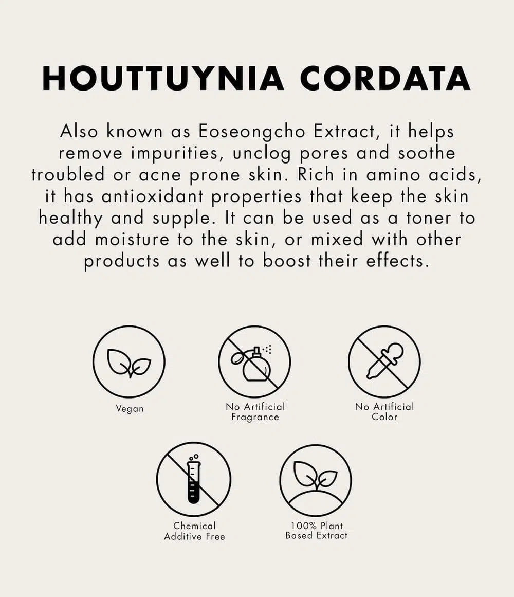 One Thing Houttuynia Cordata Extract-COOS COSMETICS