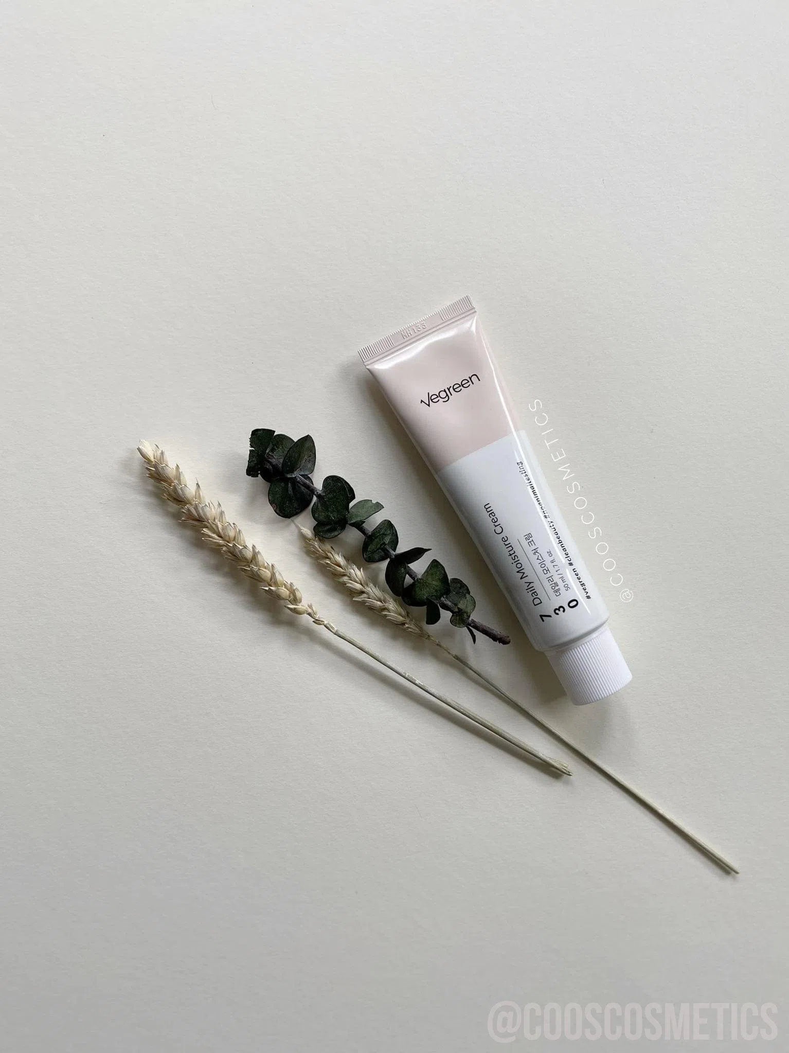 VEGREEN 730 Daily Moisture Cream